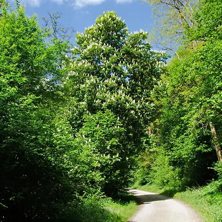 Seelenruhig アパート